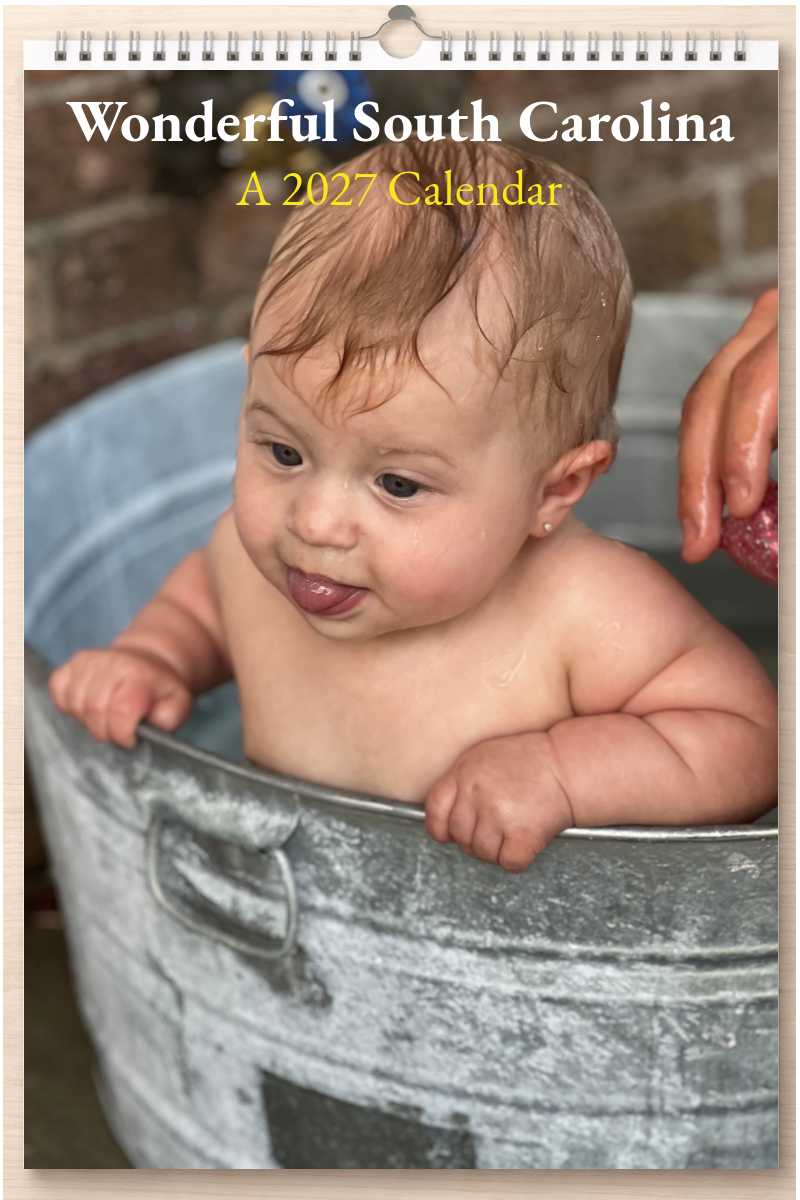 Wonderful South Carolina: A 2027 Calendar