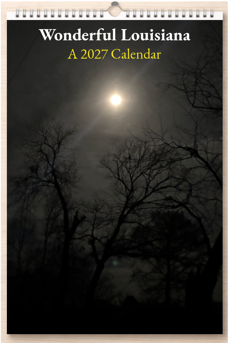 Wonderful Louisiana: A 2027 Calendar