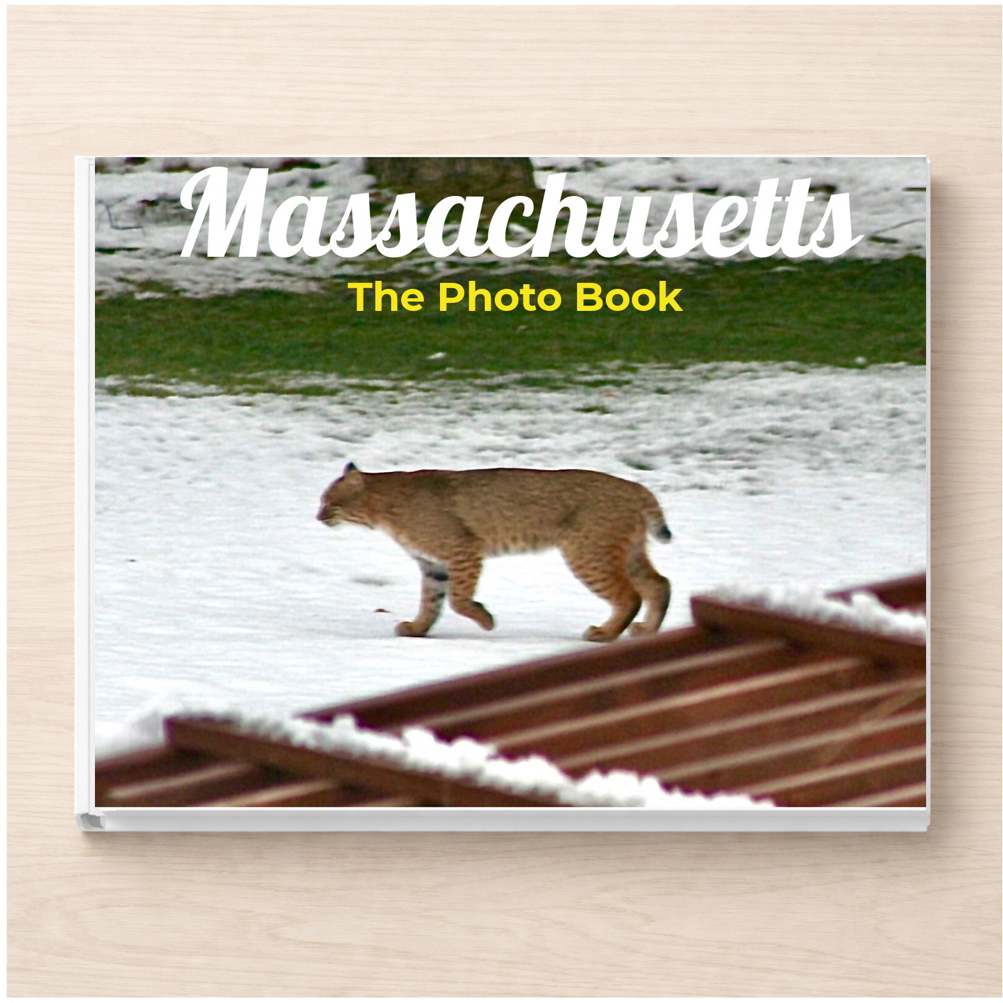 Massachusetts: The Photo Book