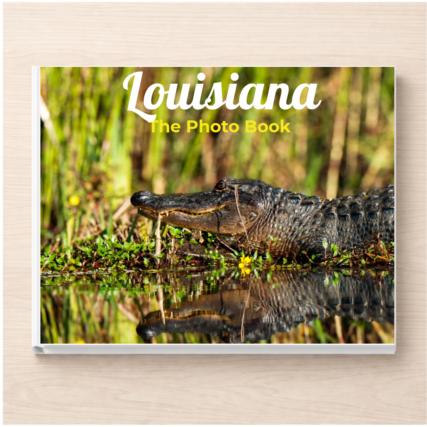 Louisiana: The Photo Book