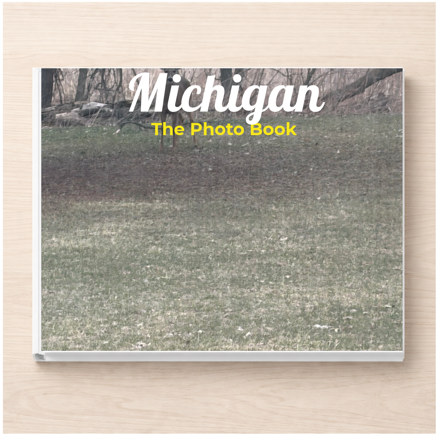 Michigan: The Photo Book