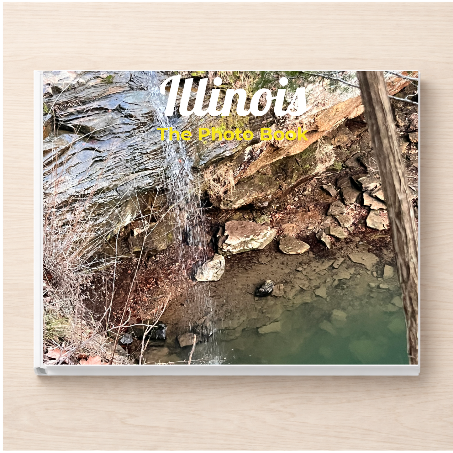 Illinois: The Photo Book