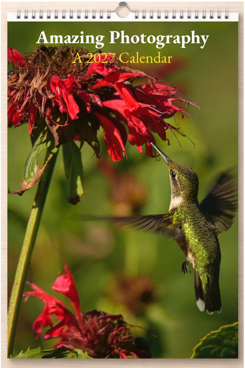 Amazing Photography: A 2027 Calendar
