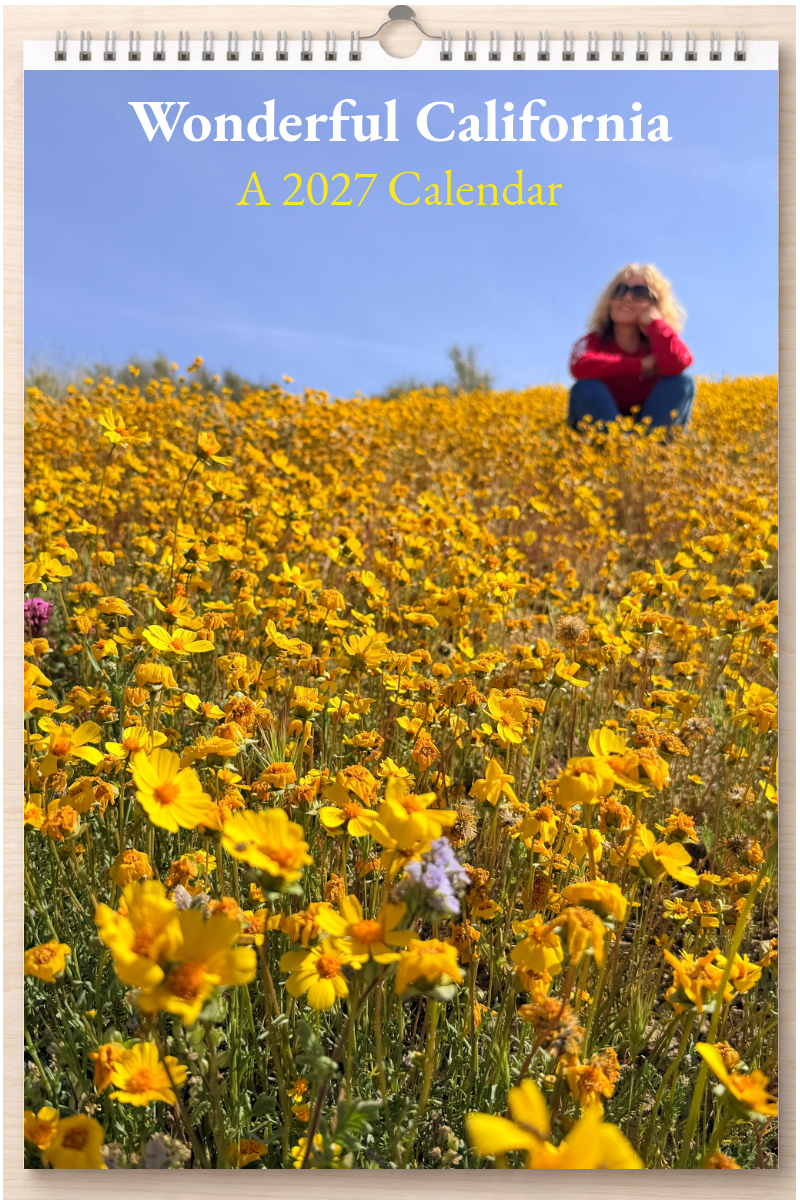 Wonderful California: A 2027 Calendar