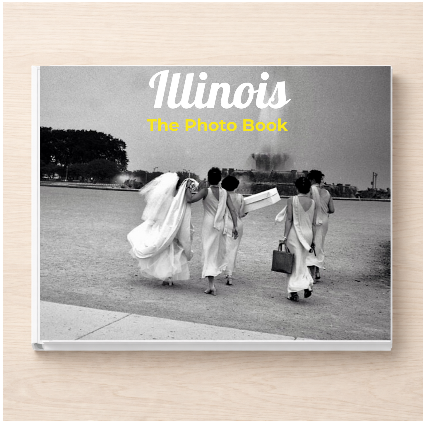 Illinois: The Photo Book