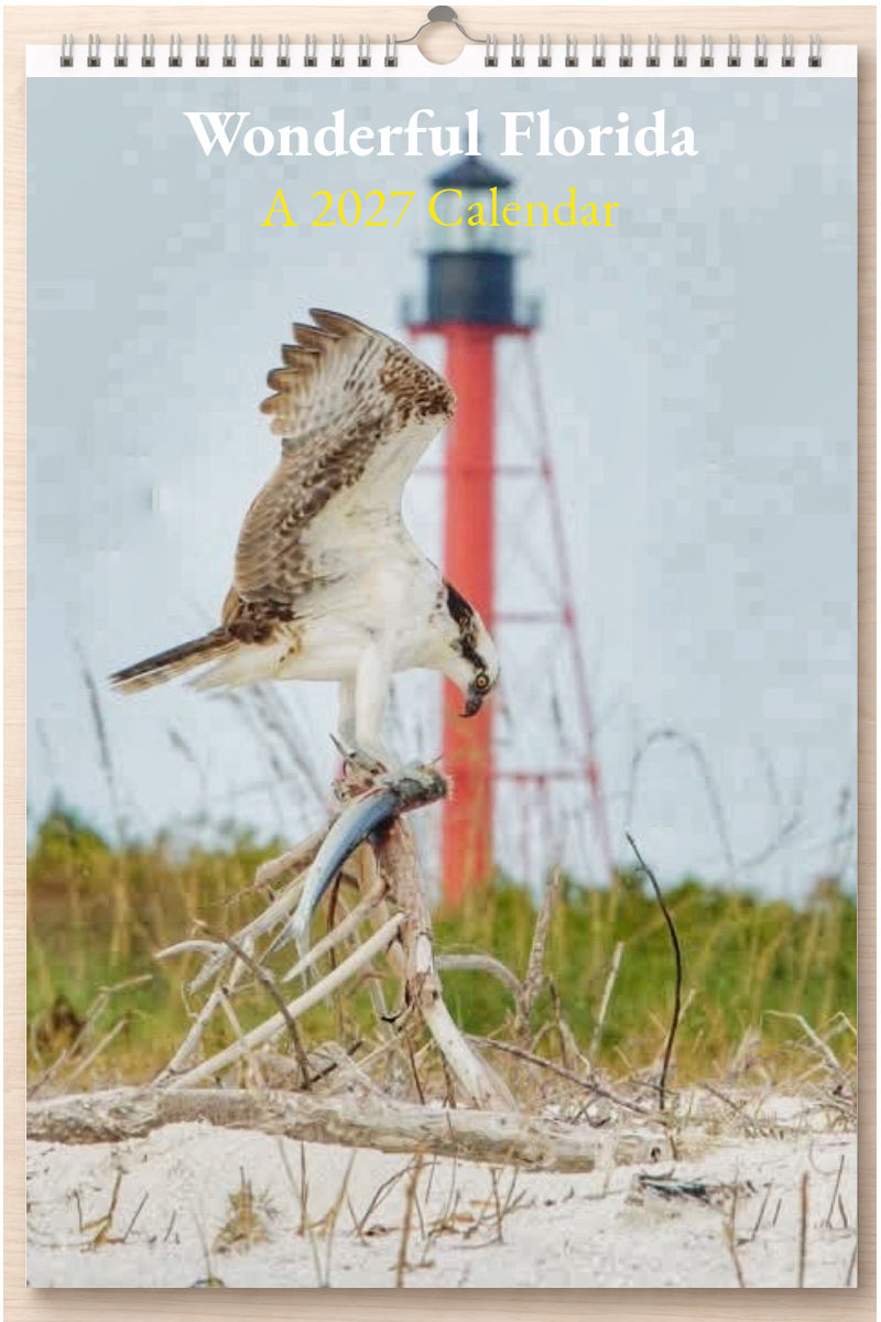 Wonderful Florida: A 2027 Calendar