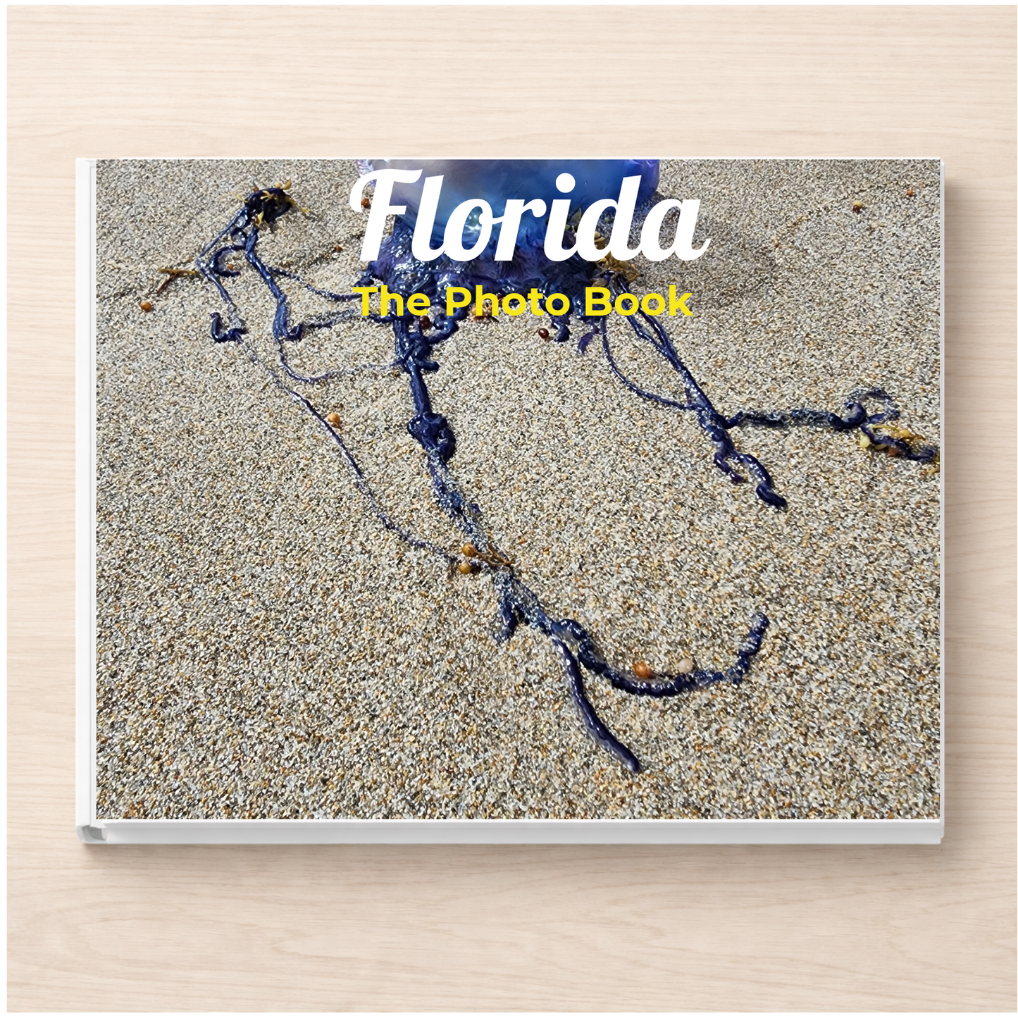 Florida: The Photo Book