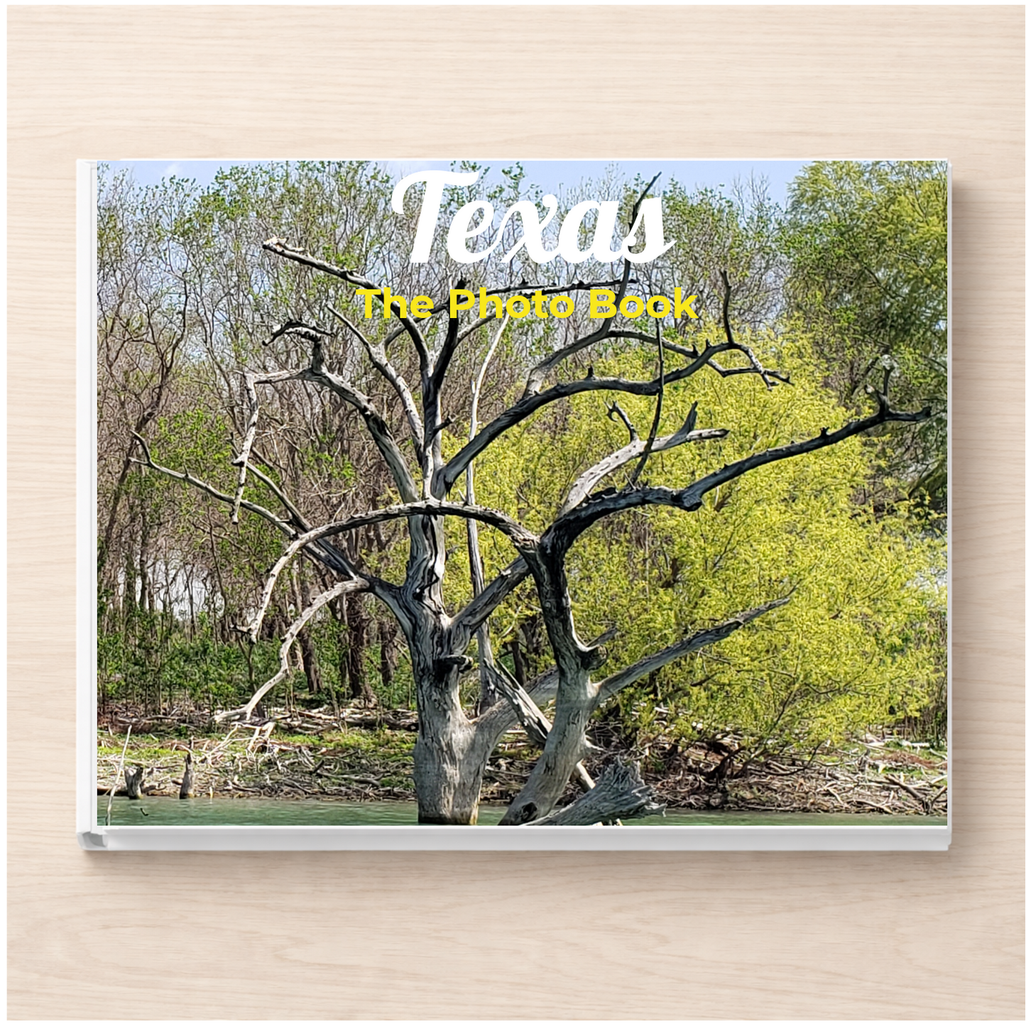 Texas: The Photo Book