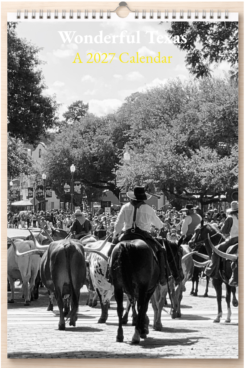 Wonderful Texas: A 2027 Calendar