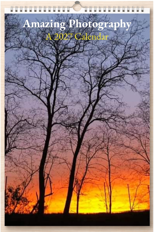 Amazing Photography: A 2027 Calendar