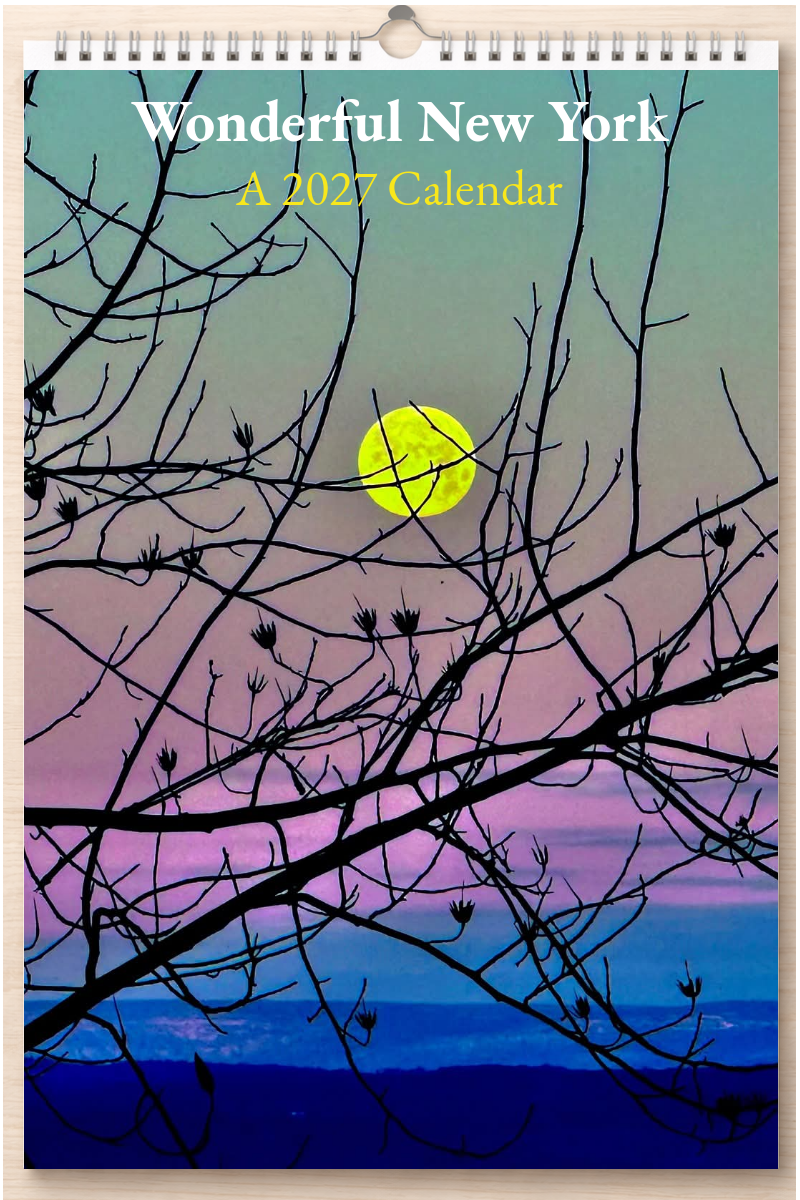 Wonderful New York: A 2027 Calendar
