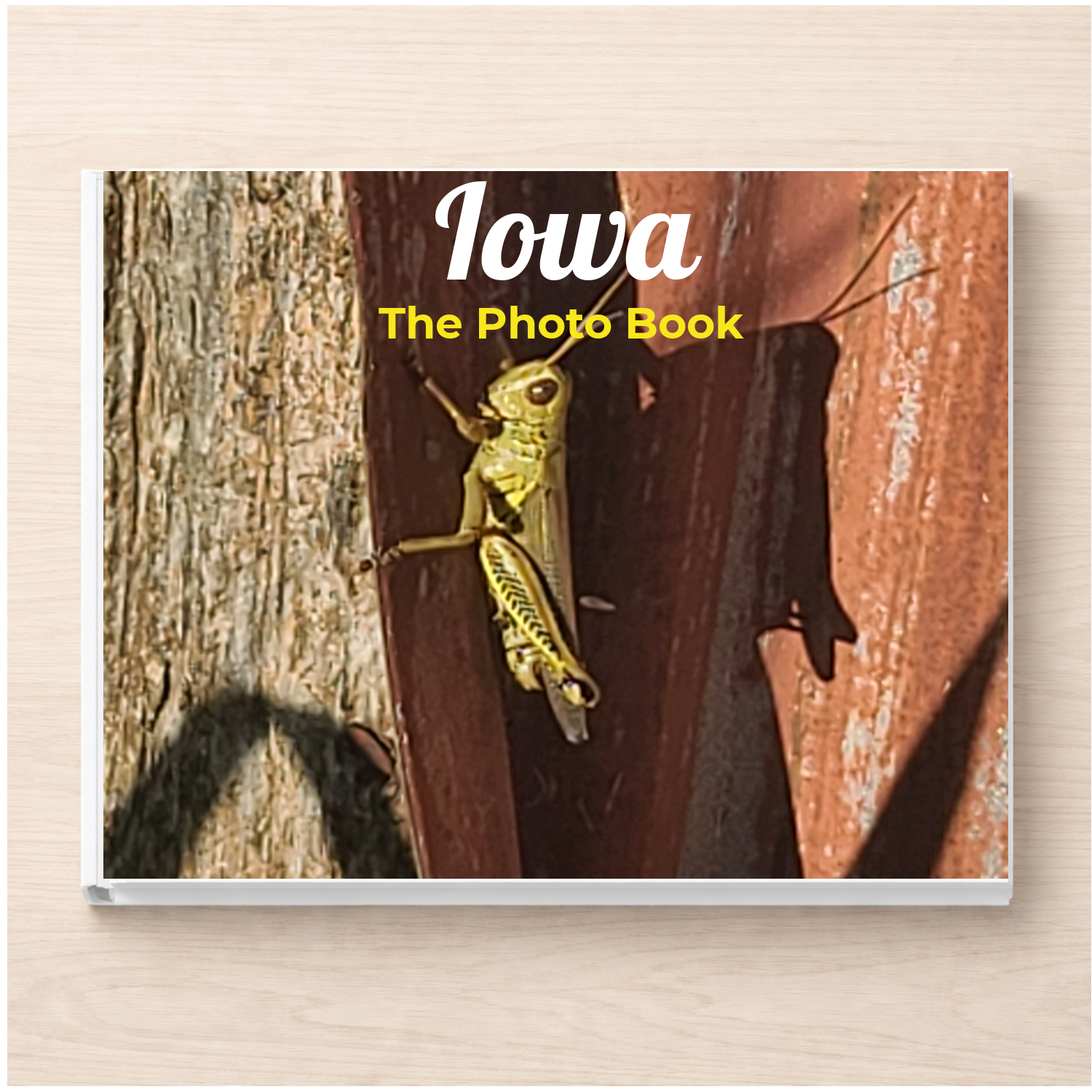 Iowa: The Photo Book – Silent Spark Press