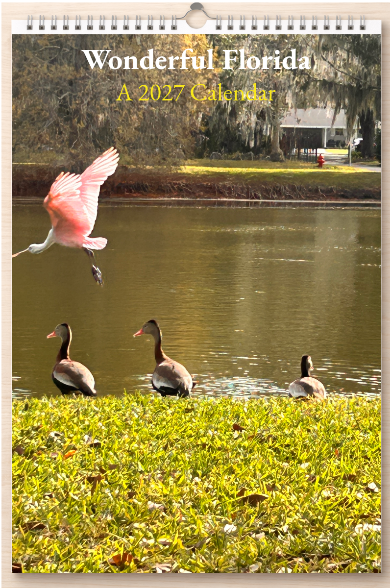 Wonderful Florida: A 2027 Calendar