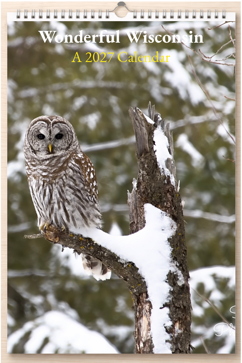 Wonderful Wisconsin: A 2027 Calendar