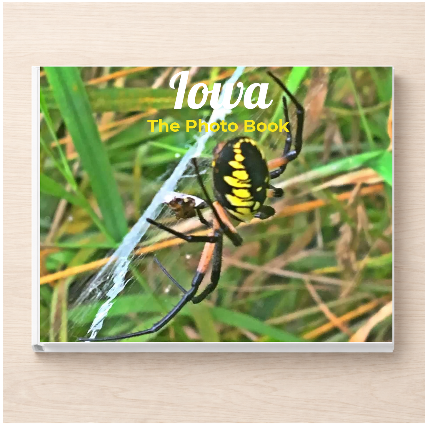 Iowa: The Photo Book