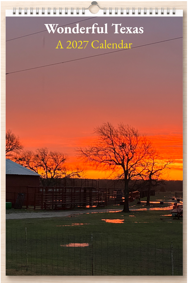 Wonderful Texas: A 2027 Calendar