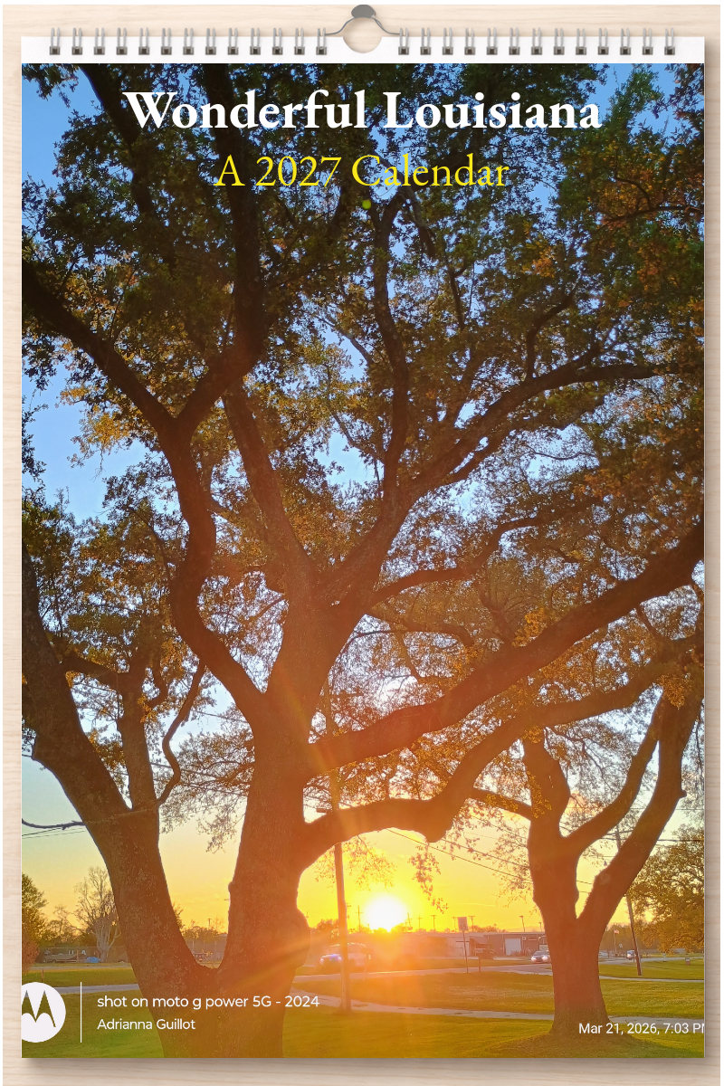 Wonderful Louisiana: A 2027 Calendar