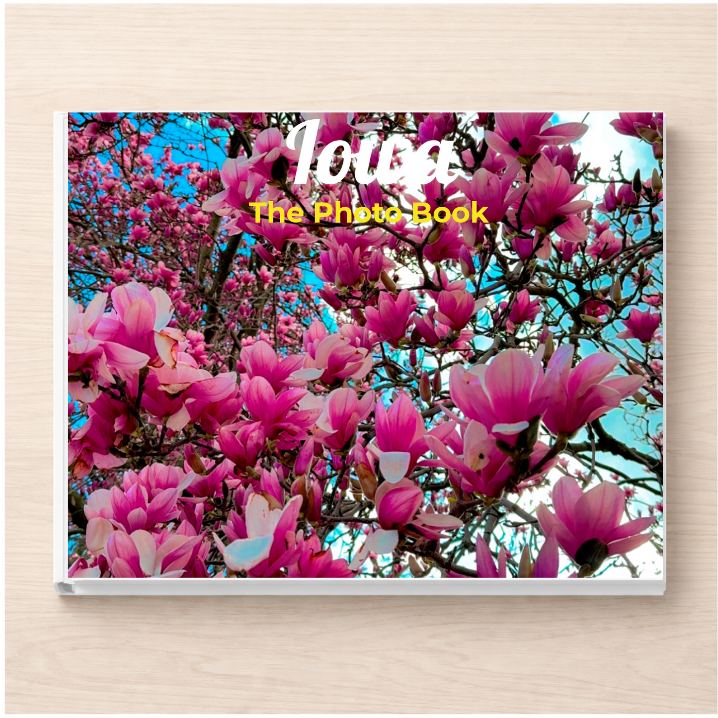 Iowa: The Photo Book