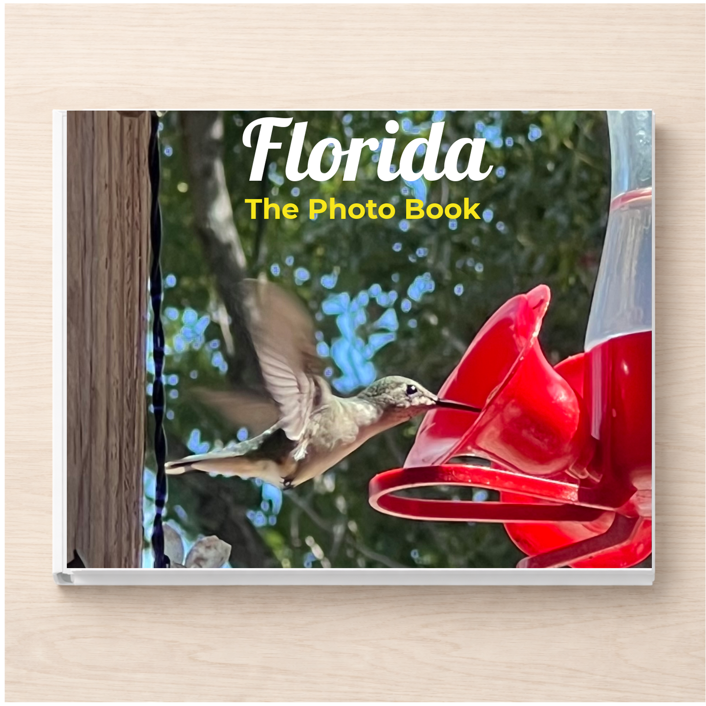 Florida: The Photo Book