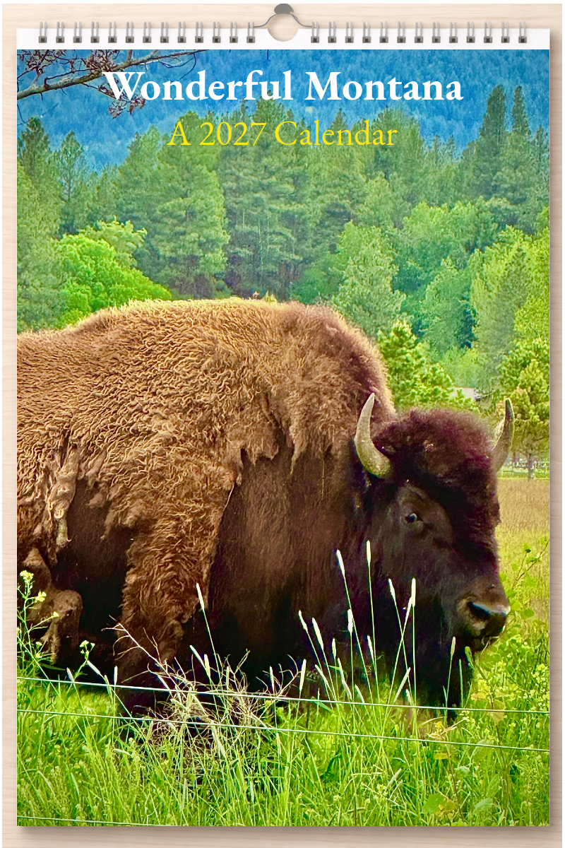 Wonderful Montana: A 2027 Calendar