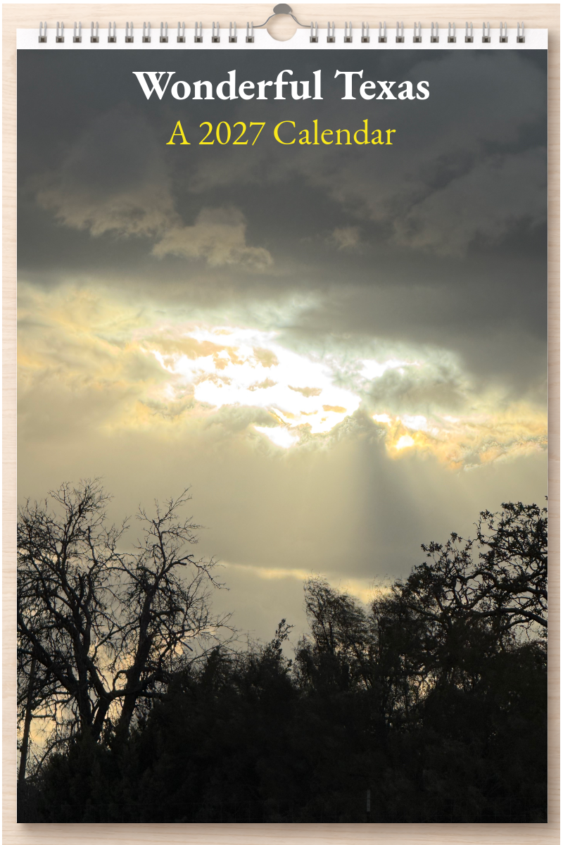 Wonderful Texas: A 2027 Calendar