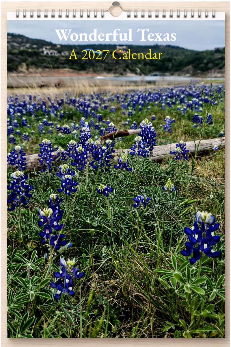 Wonderful Texas: A 2027 Calendar