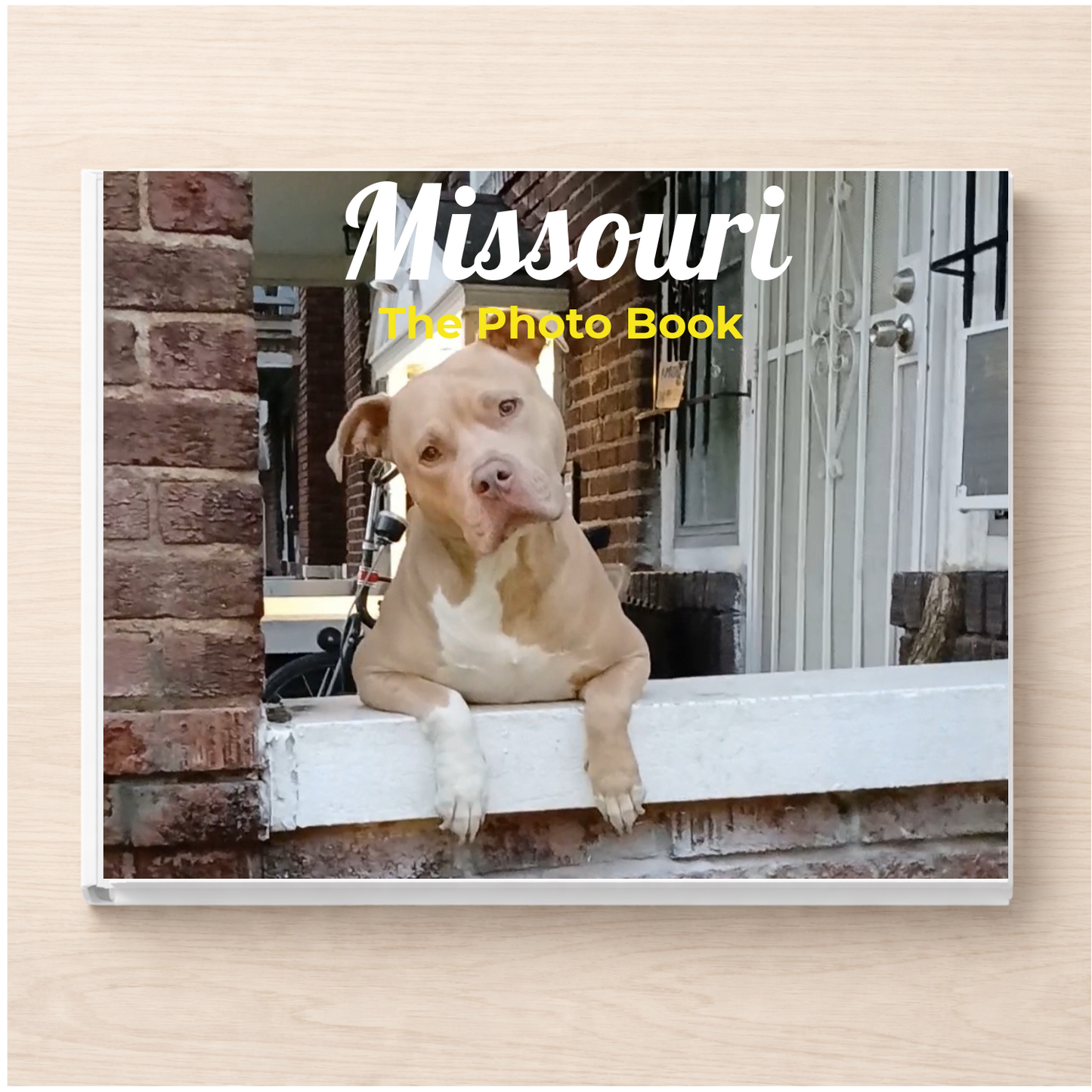 Missouri: The Photo Book