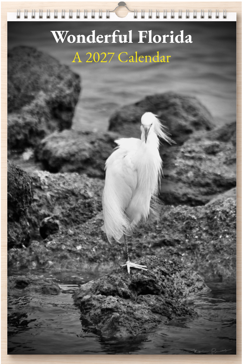 Wonderful Florida: A 2027 Calendar