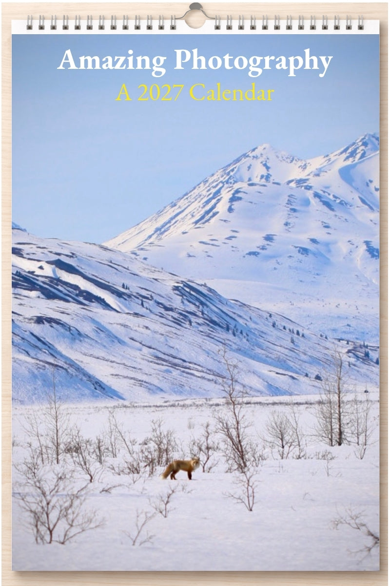 Amazing Photography: A 2027 Calendar