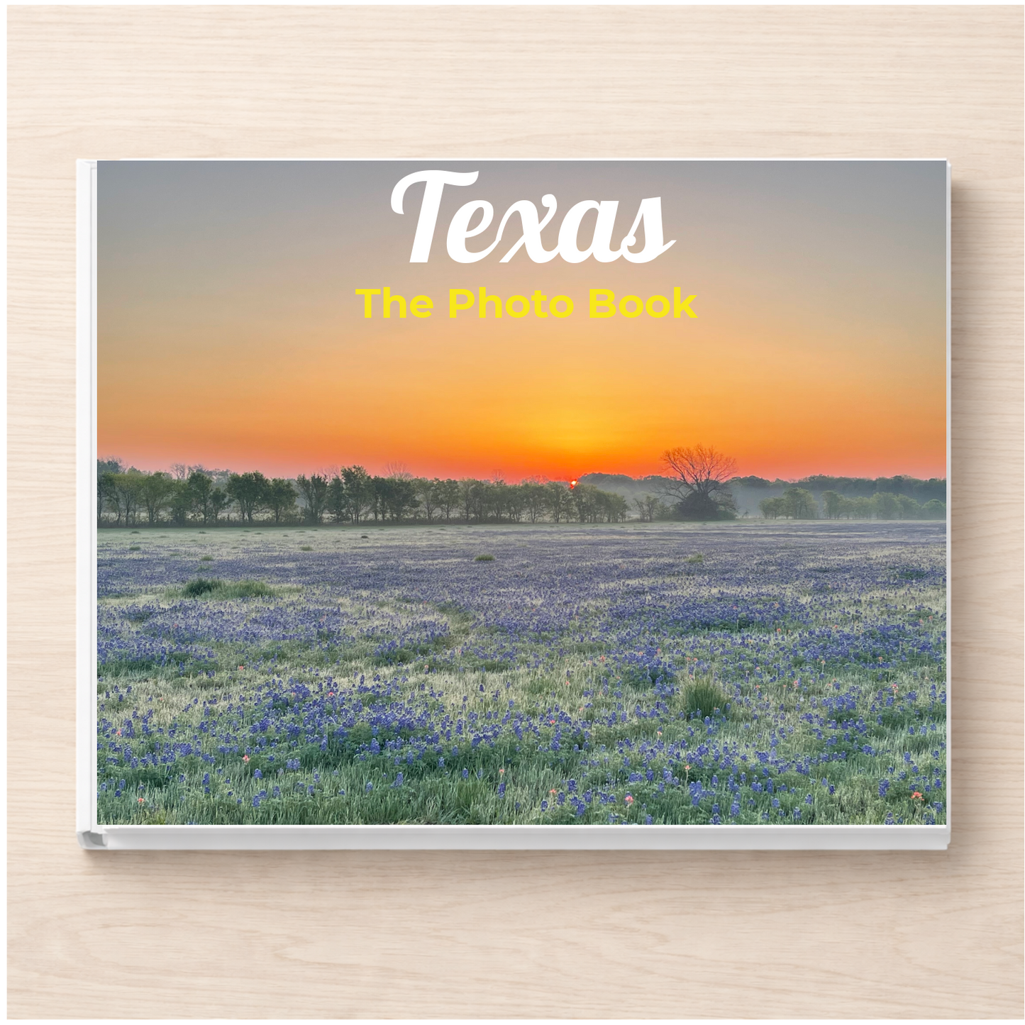 Texas: The Photo Book