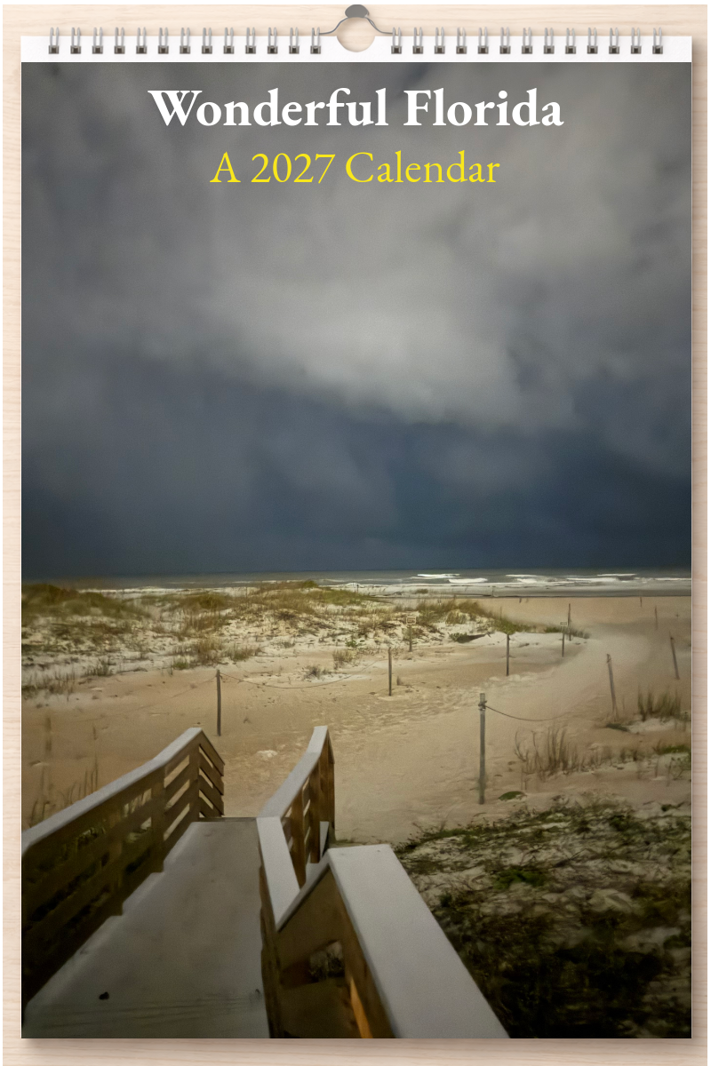 Wonderful Florida: A 2027 Calendar