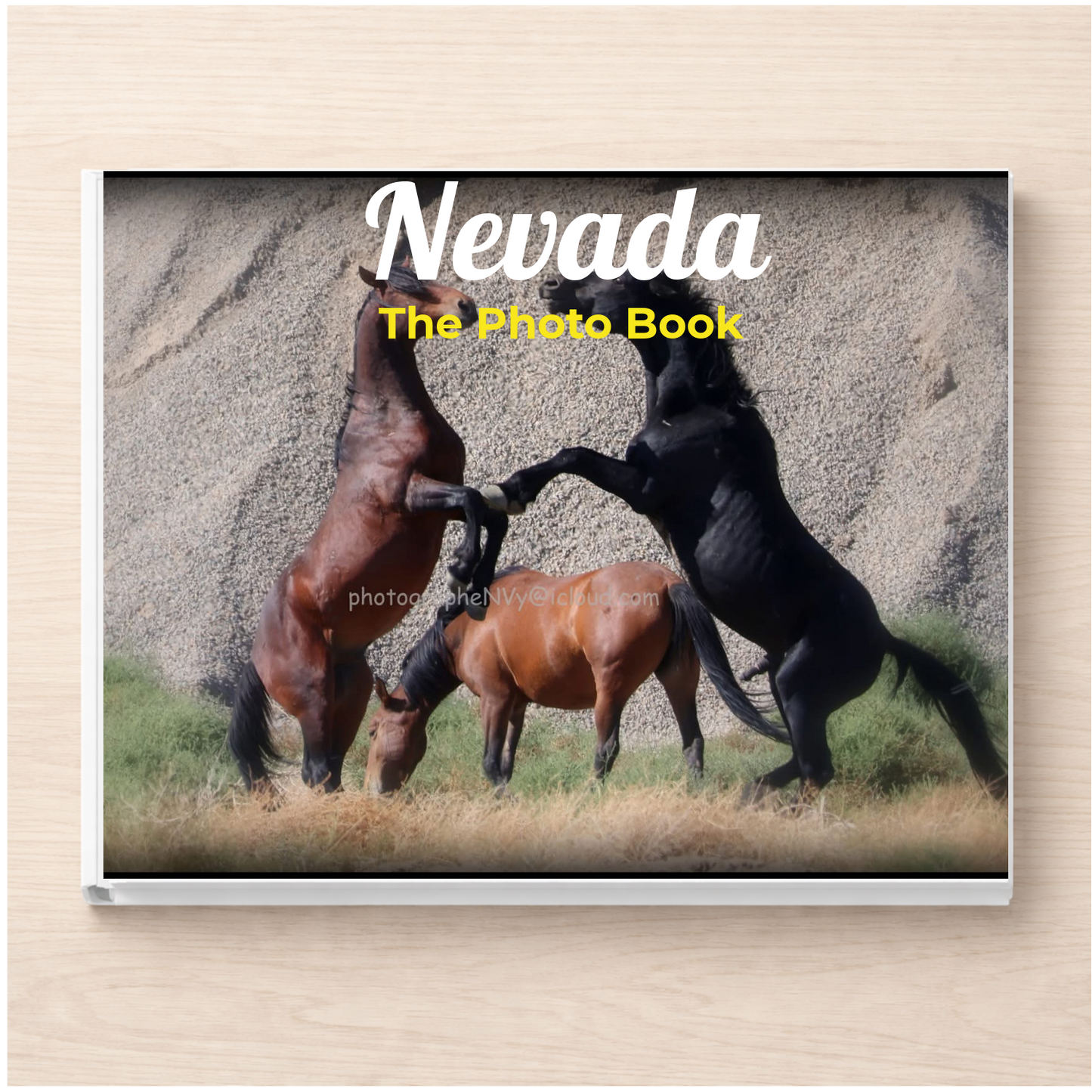 Nevada: The Photo Book