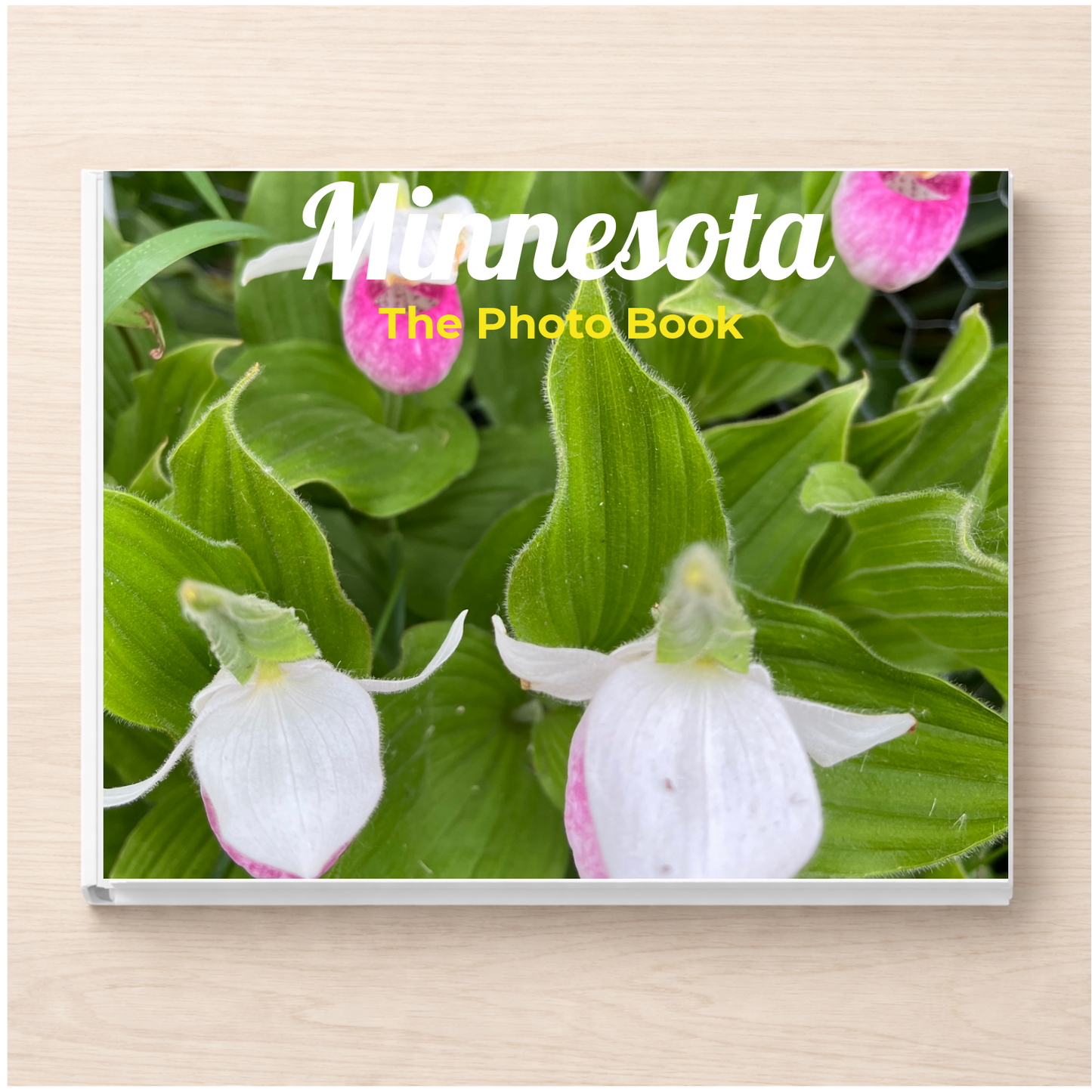 Minnesota: The Photo Book