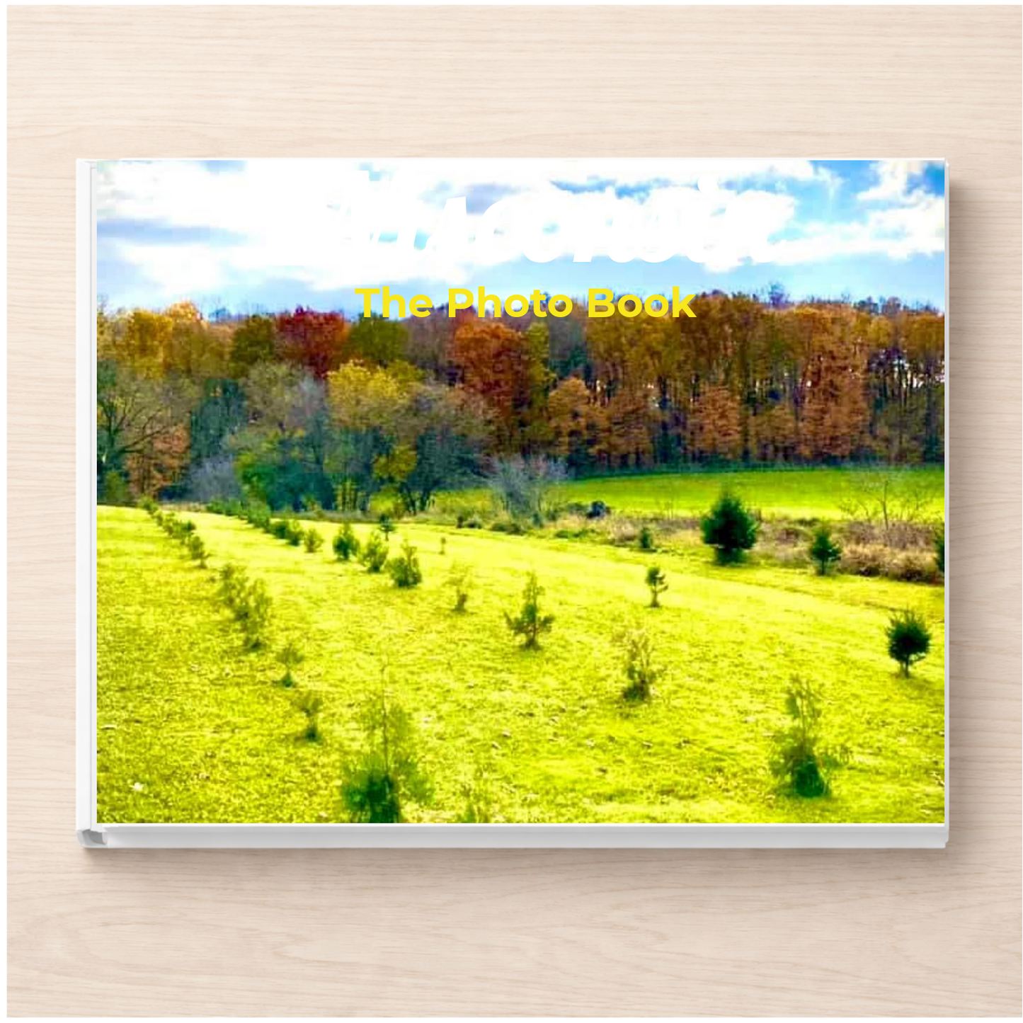 Wisconsin: The Photo Book