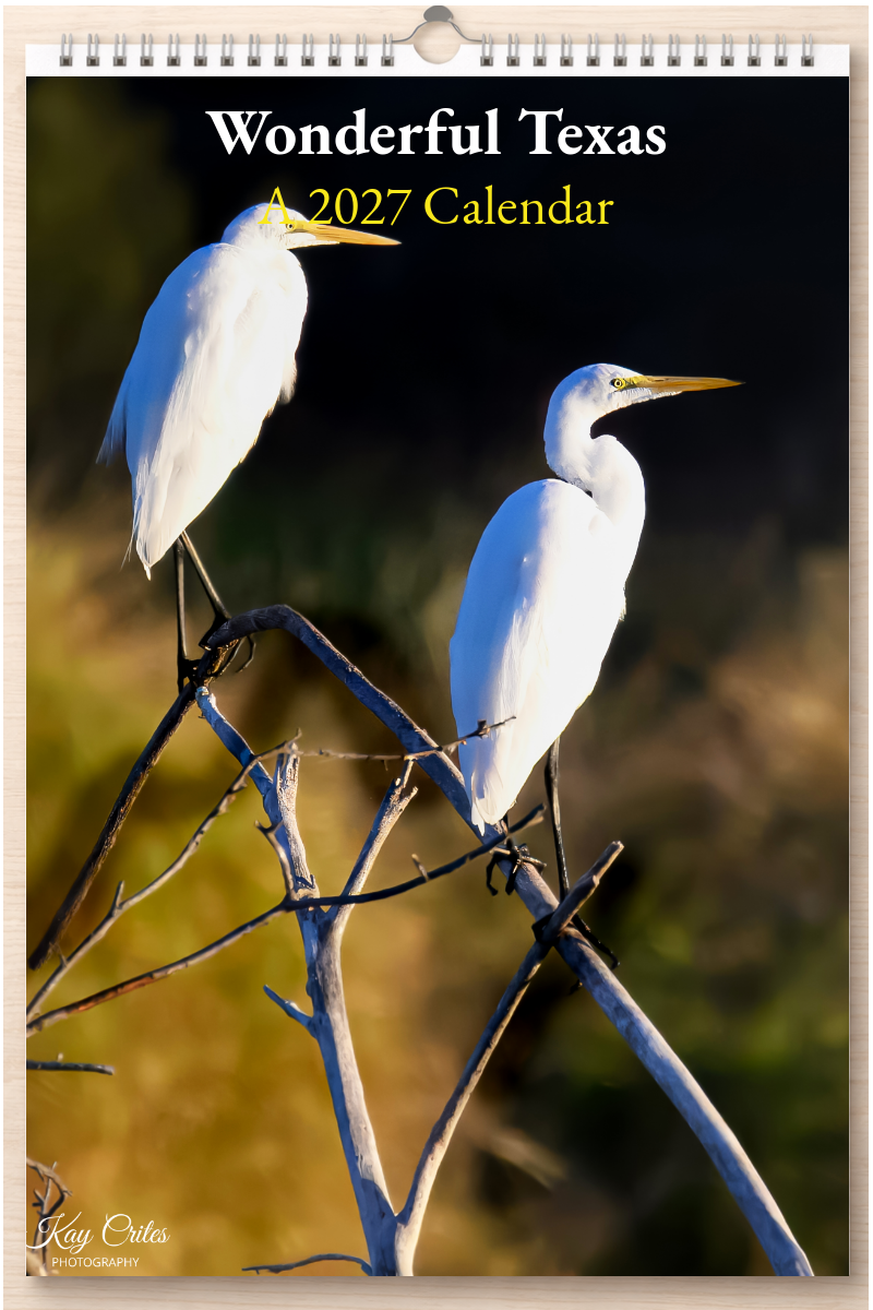Wonderful Texas: A 2027 Calendar