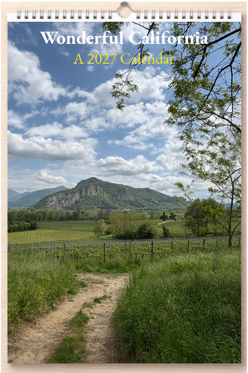Wonderful California: A 2027 Calendar