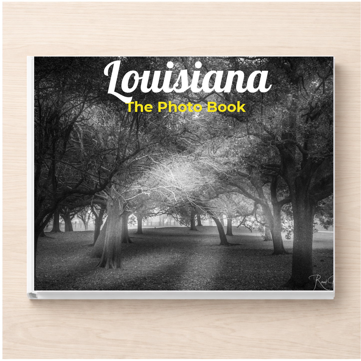 Louisiana: The Photo Book