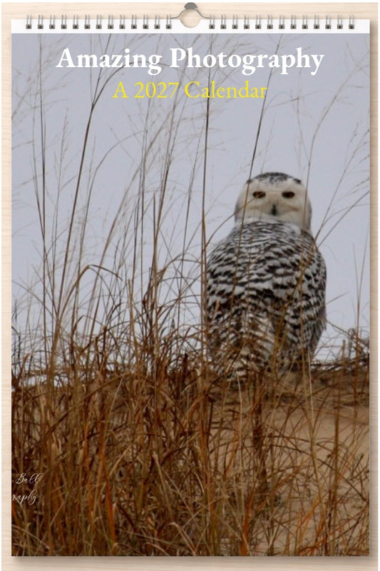 Amazing Photography: A 2027 Calendar