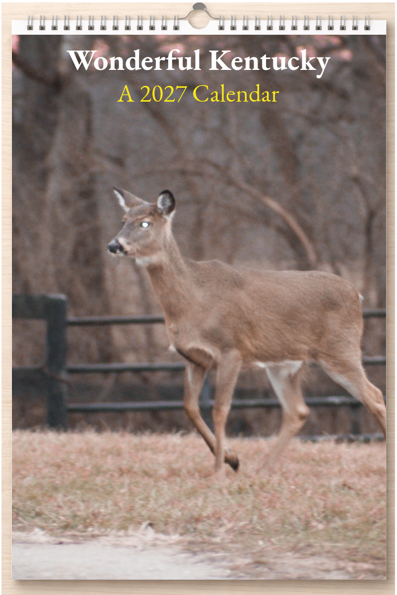 Wonderful Kentucky: A 2027 Calendar