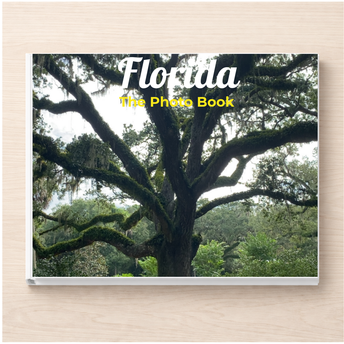 Florida: The Photo Book