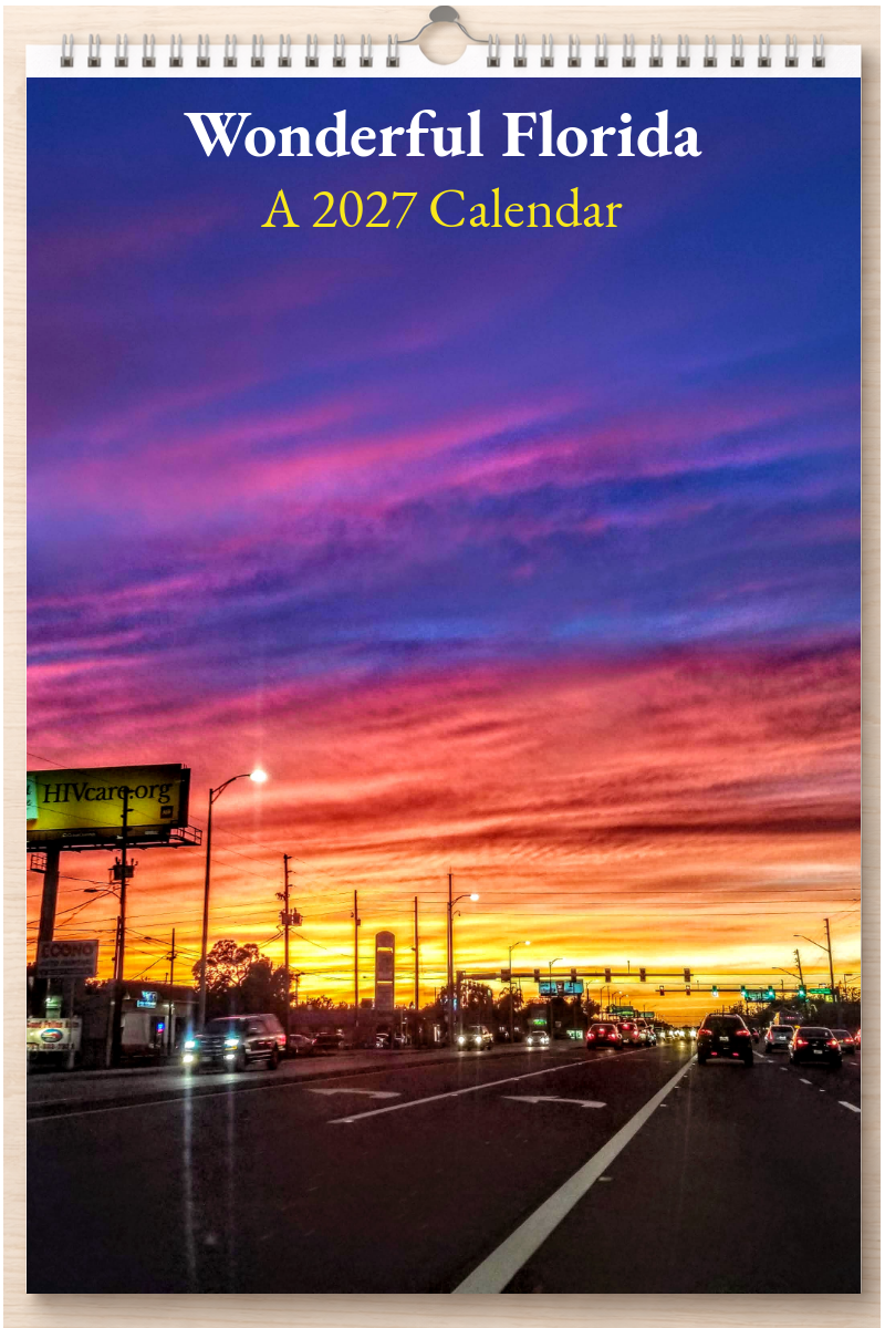 Wonderful Florida: A 2027 Calendar