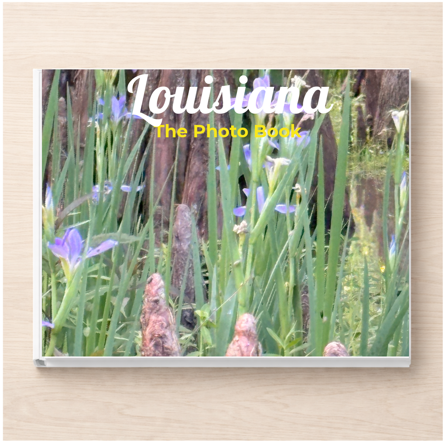 Louisiana: The Photo Book