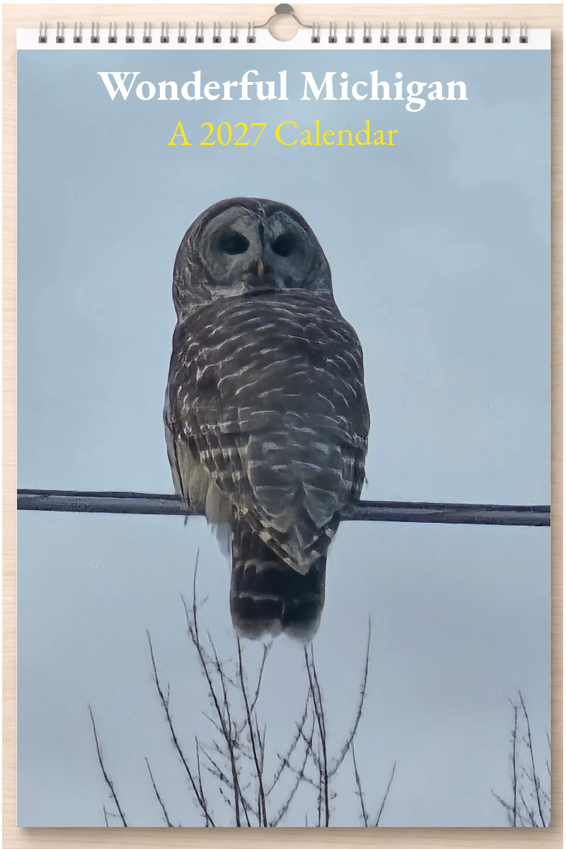 Wonderful Michigan: A 2027 Calendar