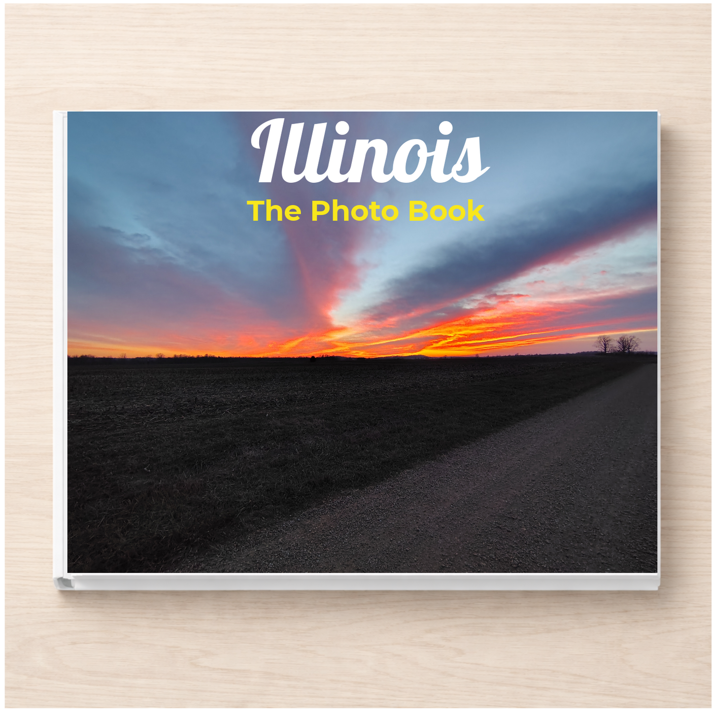 Illinois: The Photo Book