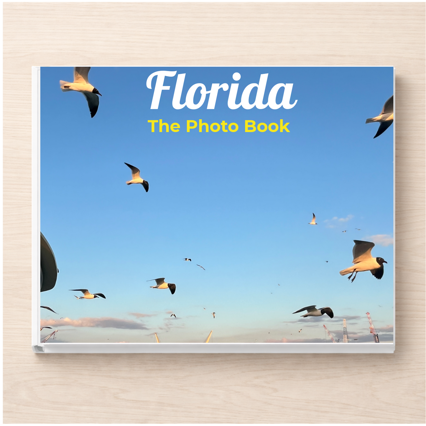 Florida: The Photo Book
