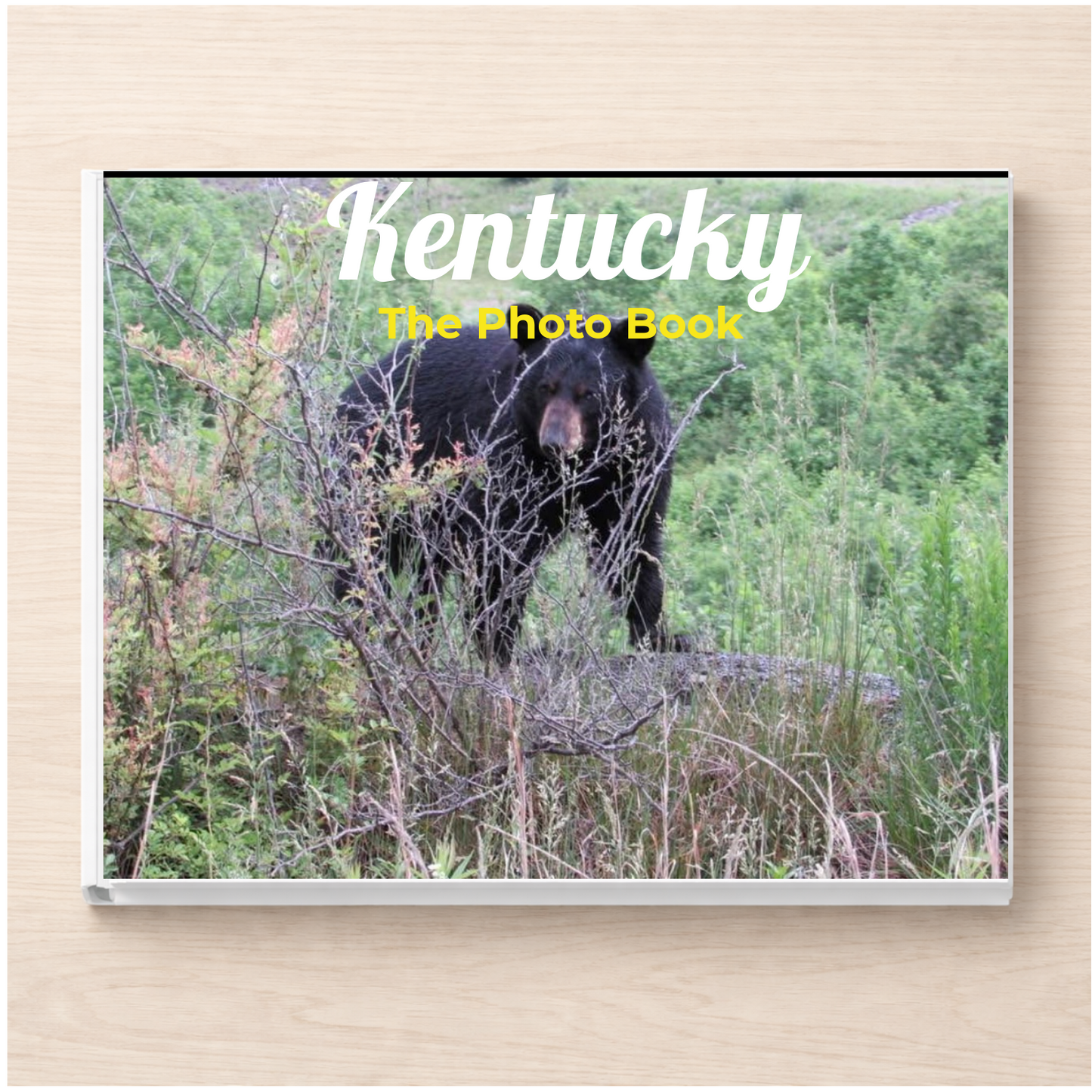 Kentucky: The Photo Book