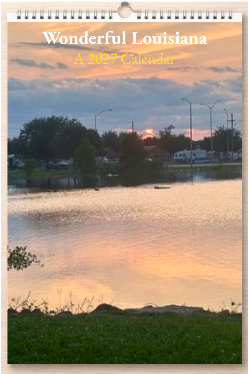 Wonderful Louisiana: A 2027 Calendar