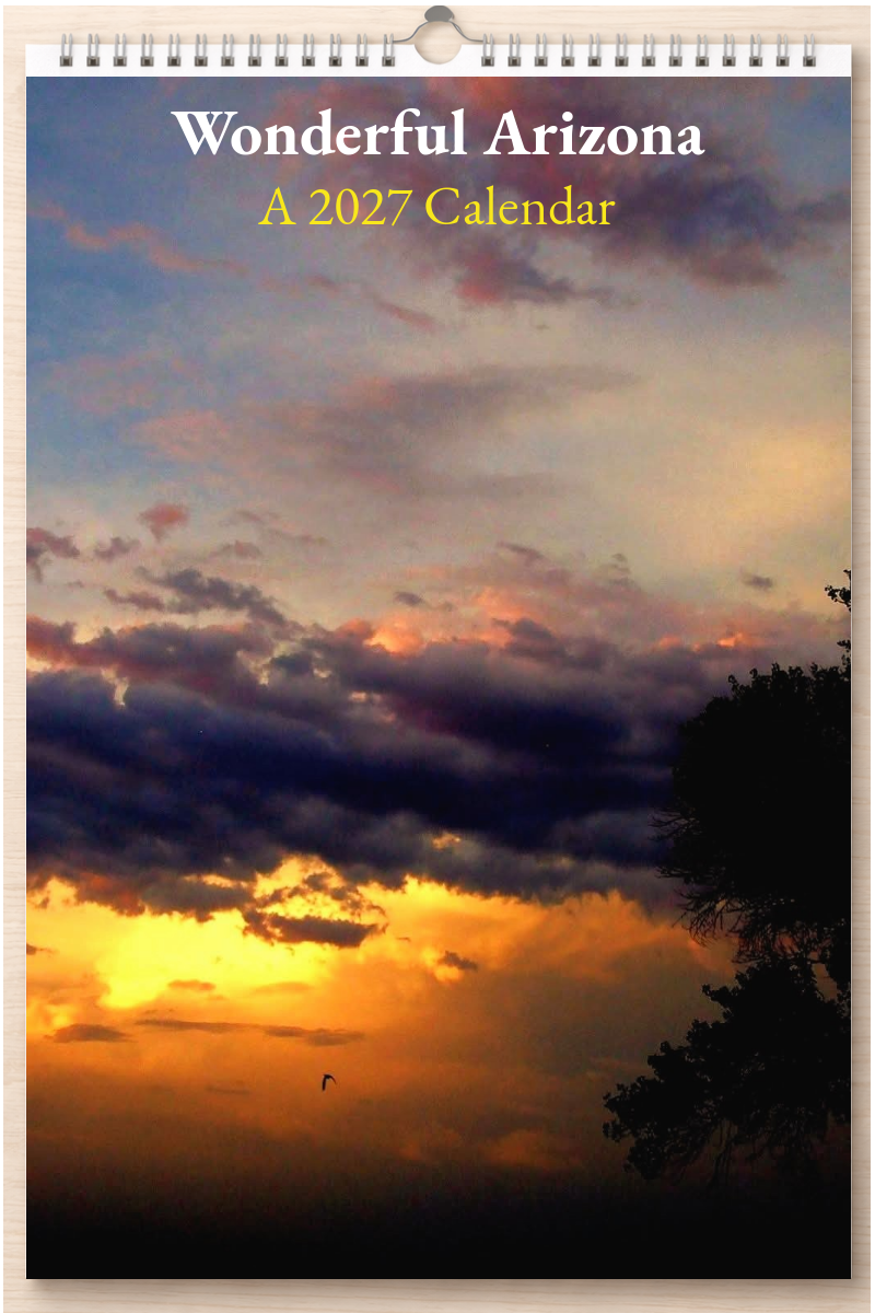 Wonderful Arizona: A 2027 Calendar