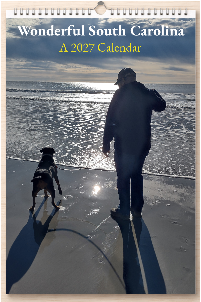 Wonderful South Carolina: A 2027 Calendar