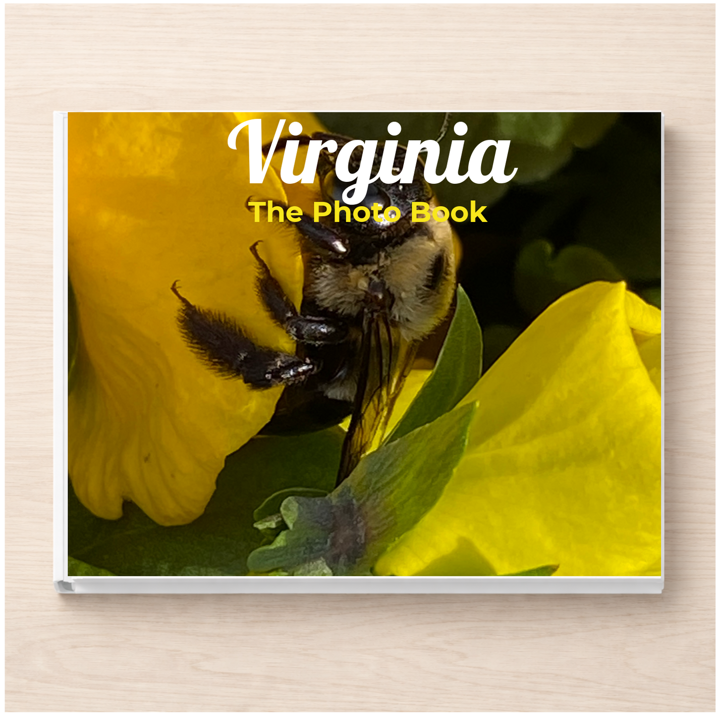 Virginia: The Photo Book
